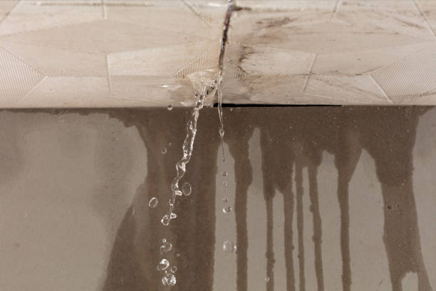 Professional Burst Pipe Cleanup technician working in Braceville, IL